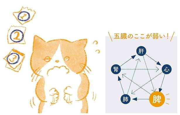 （C）櫻井大典、中神洋和　絵：ももろ
