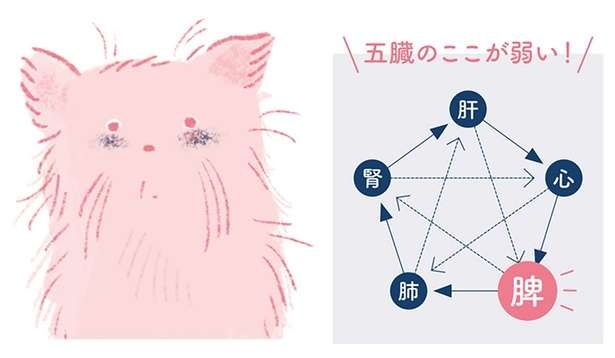 （C）櫻井大典、中神洋和　絵：ももろ