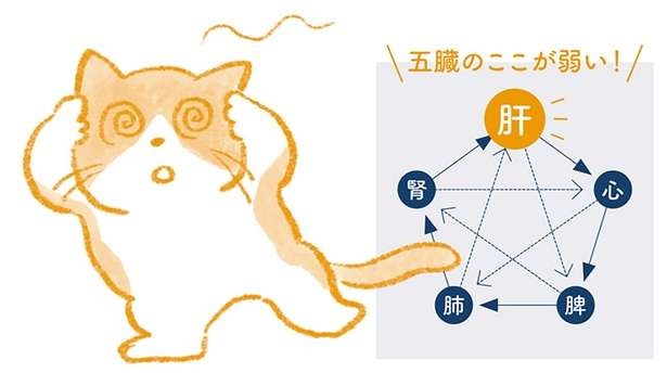 （C）櫻井大典、中神洋和　絵：ももろ
