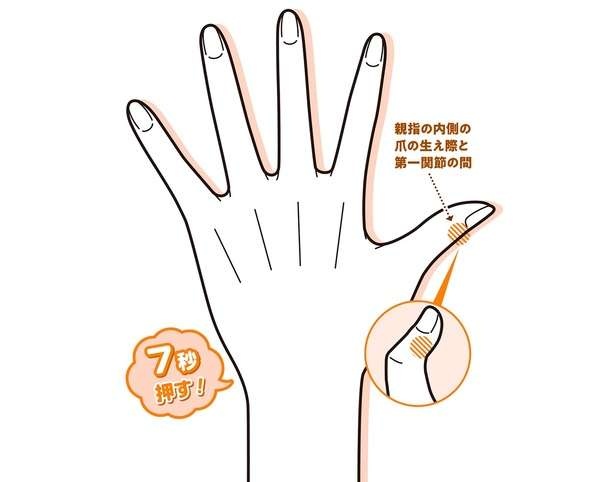 【手もみ大全】手足の冷えを解消！ エネルギー代謝を上げ、脂肪燃焼効果も（1）