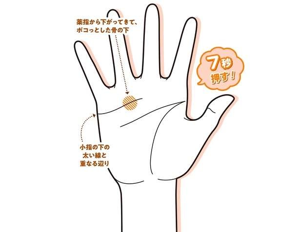 【手もみ大全】下半身太りが気になる方におすすめの「手もみ」。生活習慣病のリスク低減にも期待（2）
