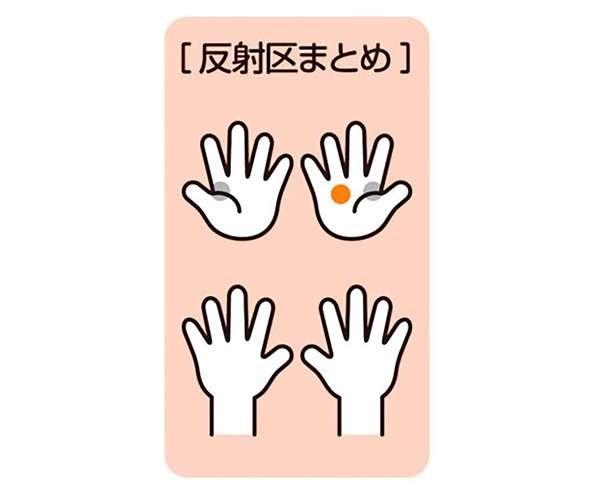 【手もみ大全】下半身太りが気になる方におすすめの「手もみ」。生活習慣病のリスク低減にも期待（10）