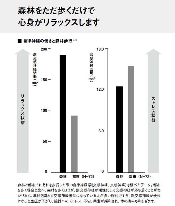 心も体も若返る！自然の中でのんびりするだけの健康法【総合診療科の医師が伝授】（3）