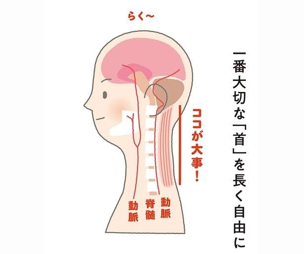 自律神経の乱れや血圧の上昇につながる可能性あり。全身の緊張をとるために大切な「体の部位」（2）