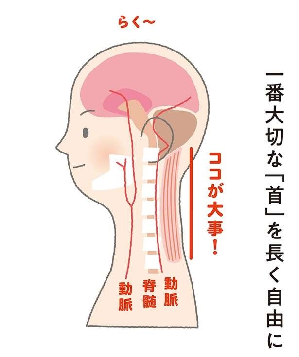 自律神経の乱れや血圧の上昇につながる可能性あり。全身の緊張をとるために大切な「体の部位」（4）