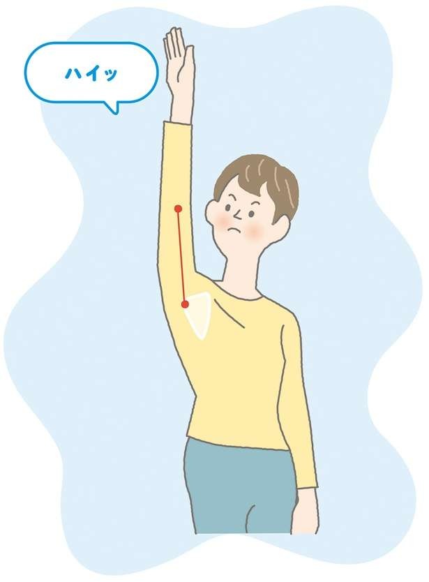 肩こり改善！腕を胸から使えば肩の筋肉がやわらかくなる【イラストを見れば体が整う】（3）