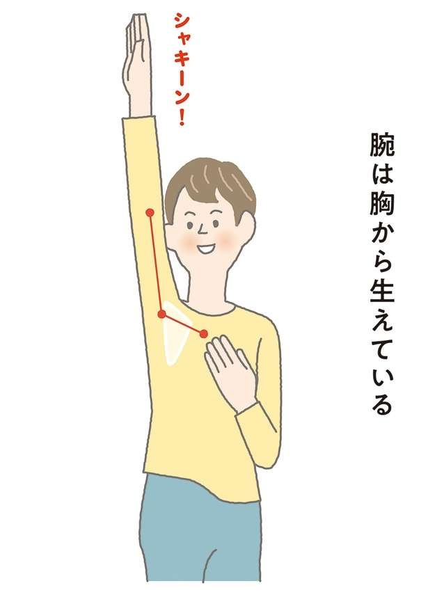 肩こり改善！腕を胸から使えば肩の筋肉がやわらかくなる【イラストを見れば体が整う】（4）