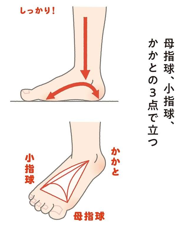 足の疲れとむくみ改善！疲れずに立っていられる方法【イラストを見れば体が整う】（4）