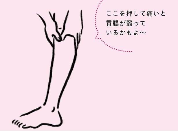 足のむくみや胃腸の不調に効果的な、膝下にある「最強のツボ」【鍼灸師が伝授】（6）