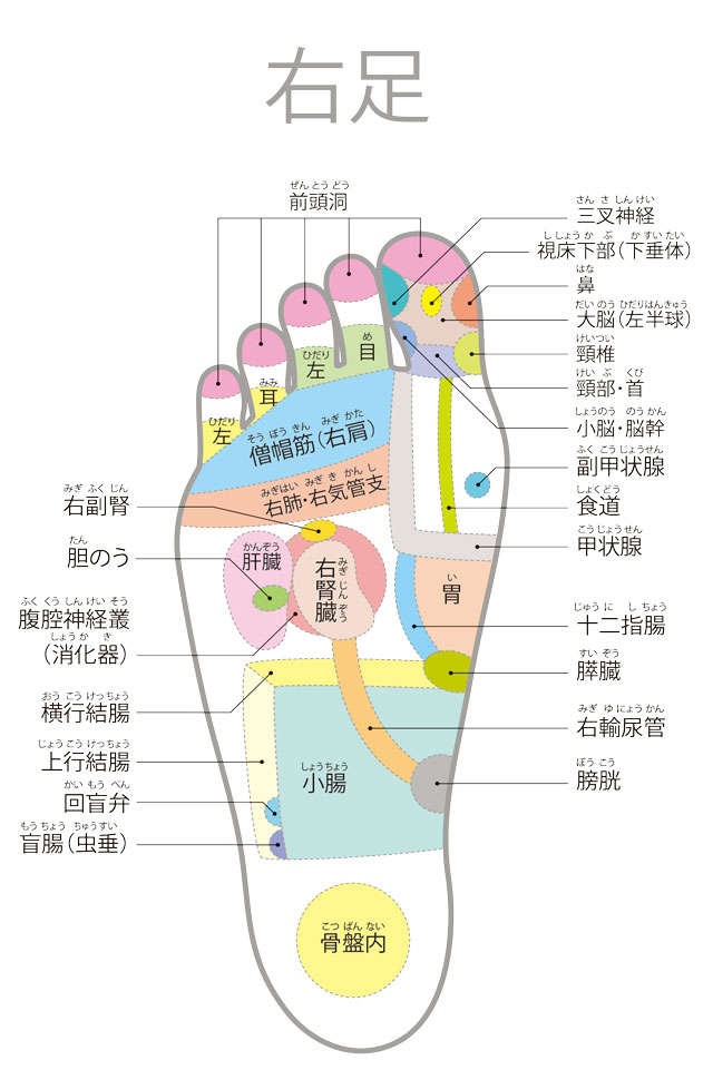 【足裏の専門家が伝授】ここが痛いと要注意！足裏のゾーンマップ（3）