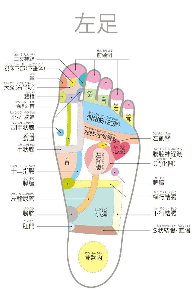 【足裏の専門家が伝授】ここが痛いと要注意！足裏のゾーンマップ（4）