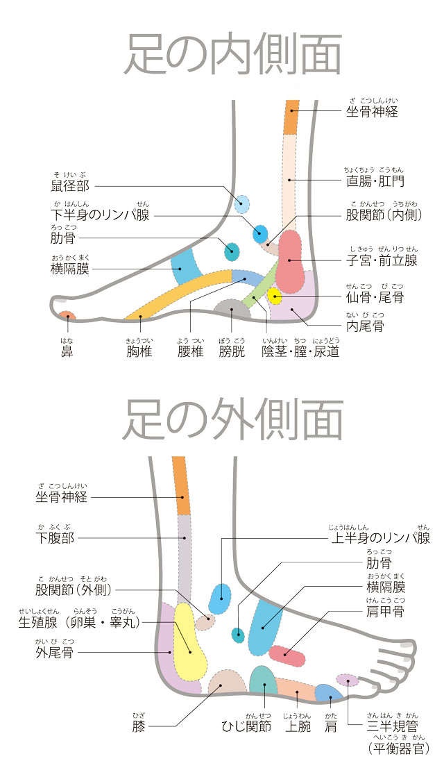 【足裏の専門家が伝授】ここを押して痛いと要注意！足全体のゾーンマップ（3）