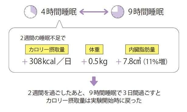 不足するとメタボになりやすい。ダイエットで見落とされがちな重要なポイント（4）
