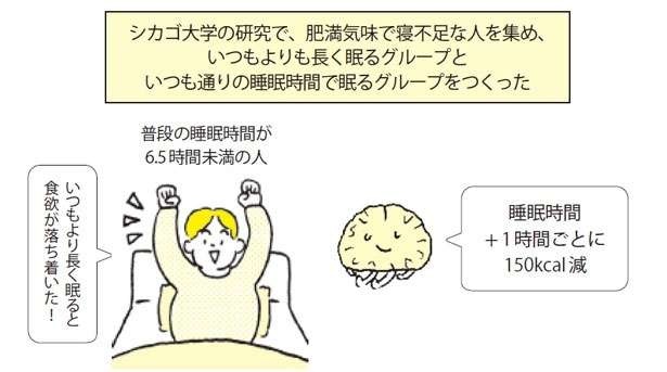 不足するとメタボになりやすい。ダイエットで見落とされがちな重要なポイント（5）