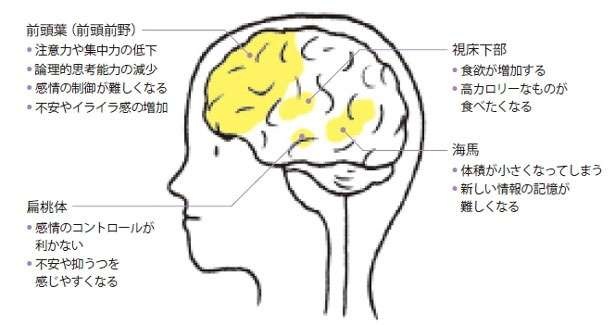 「すこぶる効率のいい勉強法」を大学教授が伝授。一夜漬けが「まったくおすすめできない」理由も解説（4）