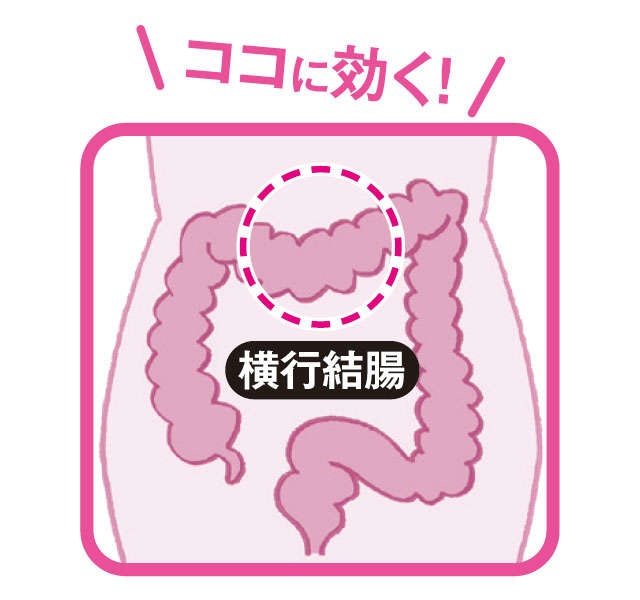 【便秘外来医が紹介】落ちた腸全体を持ち上げる腸「持ち上げマッサージ」（3）
