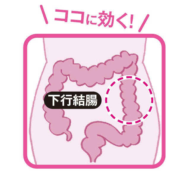 【便秘外来医が紹介】日本人の多くがねじれてる！「下行結腸」の詰まりを解消するマッサージ（3）