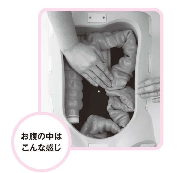 【便秘外来医が紹介】日本人の多くがねじれてる！「下行結腸」の詰まりを解消するマッサージ（7）
