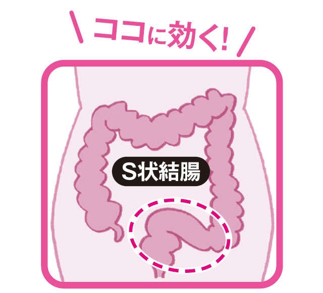【便秘外来医が紹介】ゆらすことで腸の力をサポート！「Ｓ状結腸」の流れをよくするマッサージ（3）