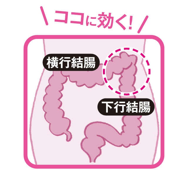 【便秘外来医が紹介】肋骨の内側にある腸にアプローチ！上体ひねりマッサージ（3）