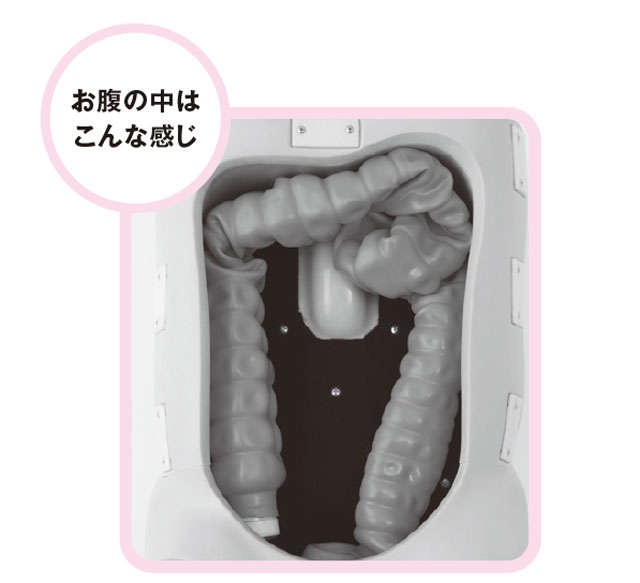 【便秘外来医が紹介】肋骨の内側にある腸にアプローチ！上体ひねりマッサージ（8）