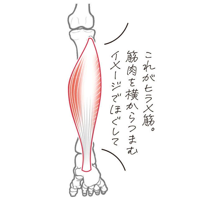 「第二の心臓」ふくらはぎをほぐしてむくみや冷え対策を！プロに教わる脚回りのリンパストレッチ（6）