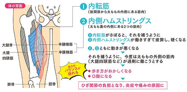 1日1分からでひざ痛解消！ 「さぼり筋」を鍛える簡単おうちトレーニング（3）