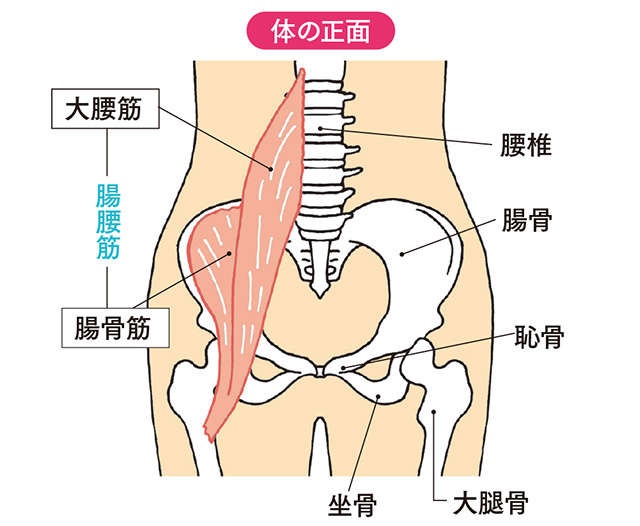 座ったままできる！ 転倒予防に鍛えておきたい「腸腰筋」トレーニング（2）