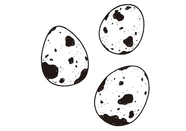 【栄養カウンセラーが伝授】「鉄不足」対策に栄養価が高い「うずら卵」。意外なレシピ！（2）