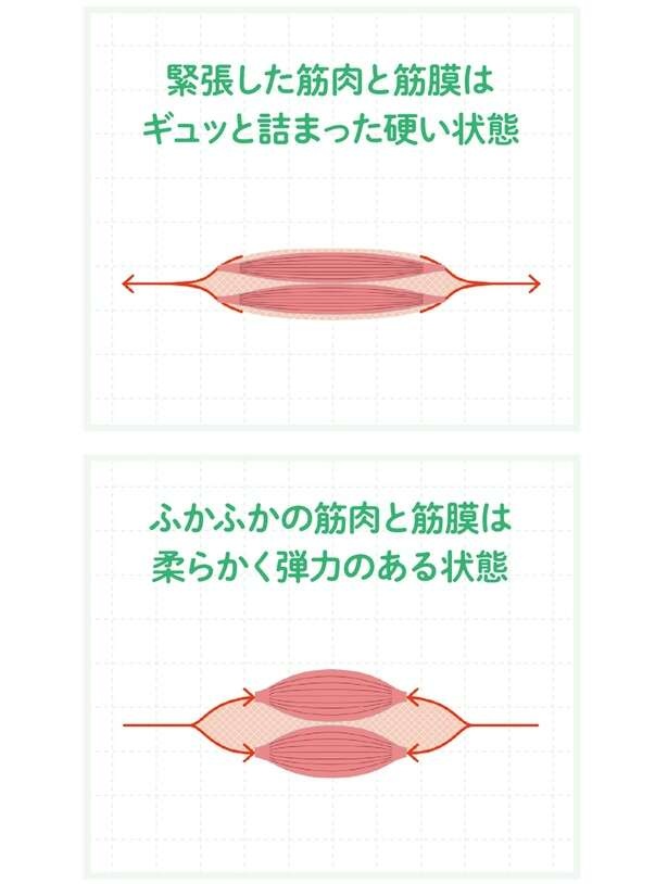 首こり・頭痛の解消を目指す！「頭・首ゆるめ」で正しい姿勢を取り戻す簡単ケア（3）
