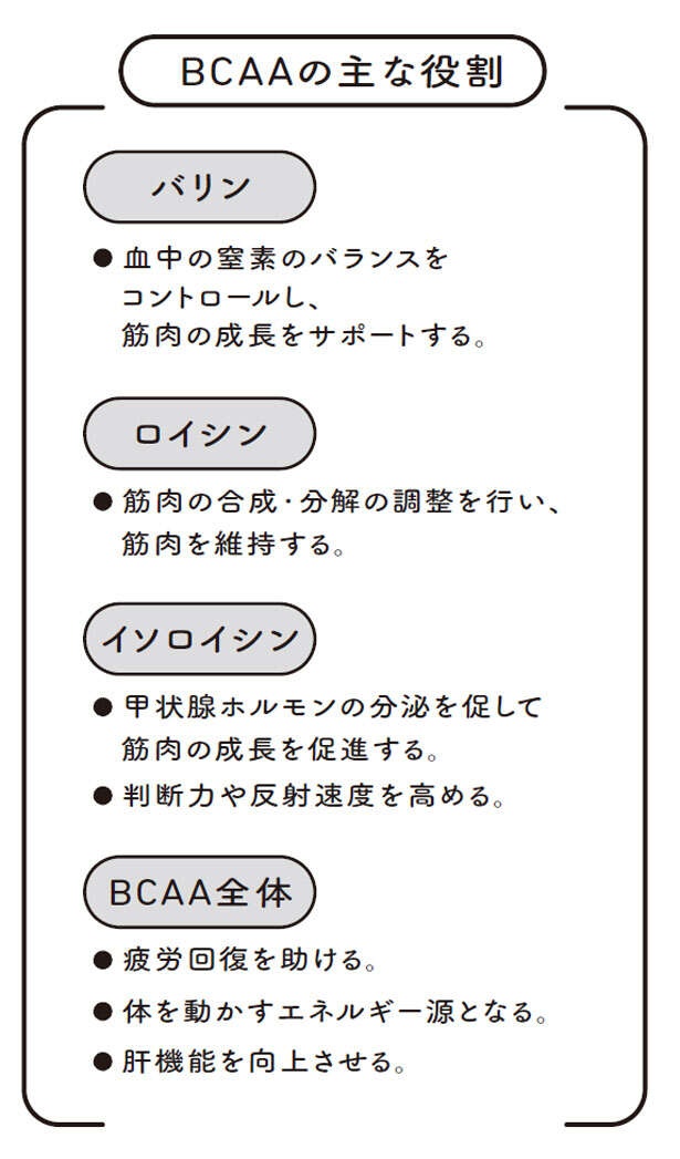 【長生きの重要成分】BCAAについて医師が解説。筋肉・疲労回復・肝機能を支える「信頼の成分」（4）