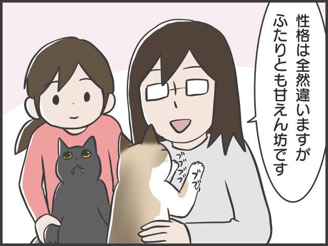 日々、猫と人間の知恵比べ!? ２匹の猫の里親になってみて／フニャコ（2）