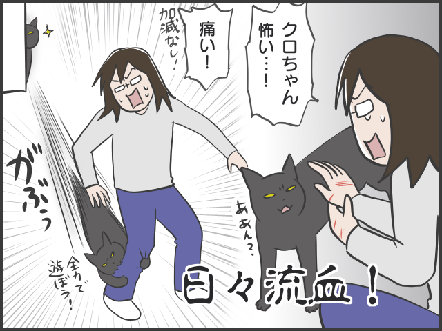 日々、猫と人間の知恵比べ!? ２匹の猫の里親になってみて／フニャコ（3）