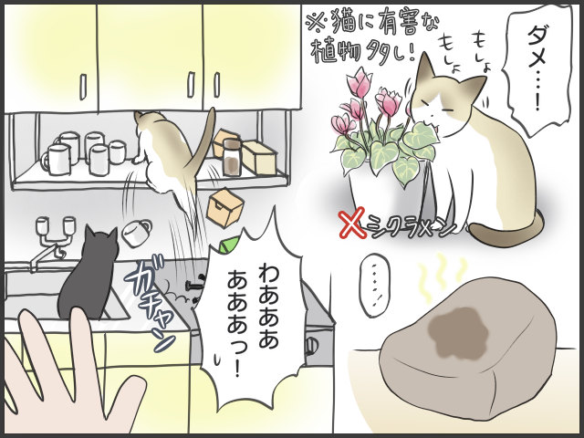 日々、猫と人間の知恵比べ!? ２匹の猫の里親になってみて／フニャコ（4）
