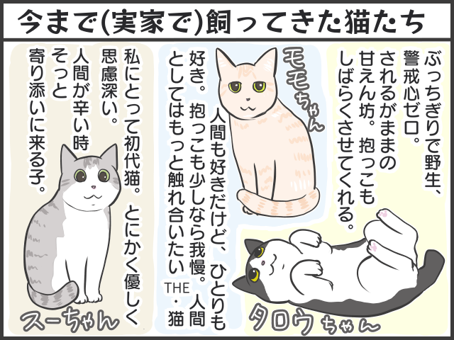 日々、猫と人間の知恵比べ!? ２匹の猫の里親になってみて／フニャコ（5）