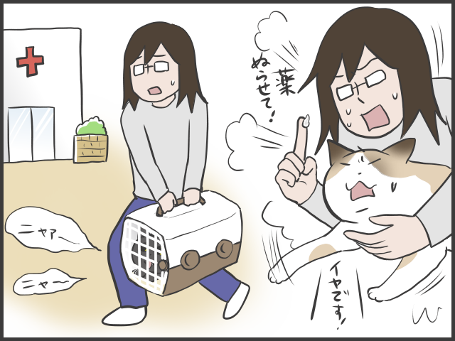 日々、猫と人間の知恵比べ!? ２匹の猫の里親になってみて／フニャコ（6）
