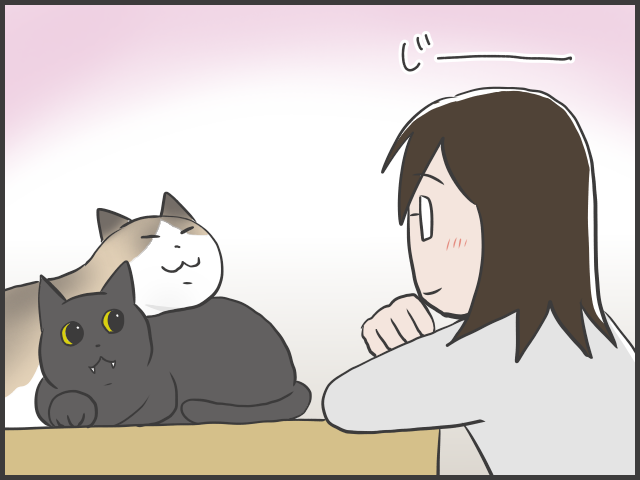 日々、猫と人間の知恵比べ!? ２匹の猫の里親になってみて／フニャコ（7）