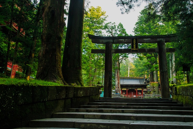 どうか「生きる時間」が続きますように...。妻と二人の日帰り旅行／僕は、死なない。（25）（1）
