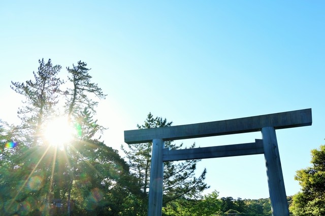 し、しびれる...弱った僕の身体を「突き抜けたもの」／僕は、死なない。（57）（1）