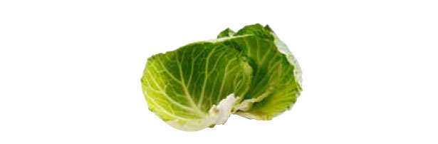 余りがちな野菜も食べきる！6年間で1000万円貯めた主婦の秘策を公開（4）