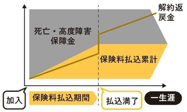 【FPの塚越菜々子さんが解説】「貯蓄型保険」を選ぶ際、ポイントは「保険で増やす理由」（4）