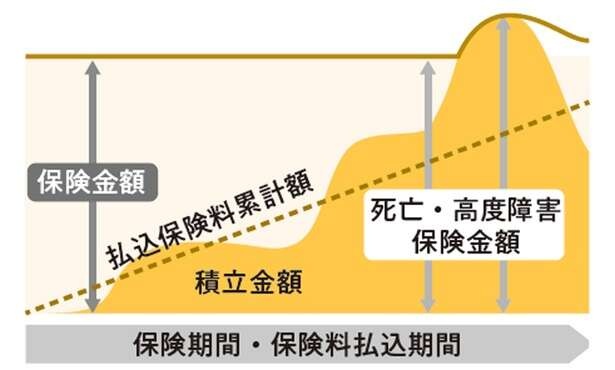 【FPの塚越菜々子さんが解説】「貯蓄型保険」を選ぶ際、ポイントは「保険で増やす理由」（6）
