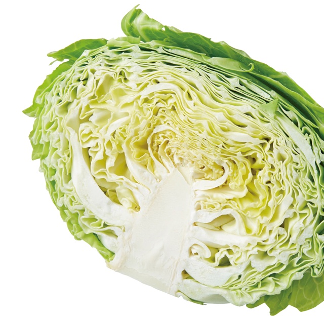 やさしい甘味が広がる！　春のキャベツのおいしさ長持ち「塩麹キャベツ」基本のレシピ（4）