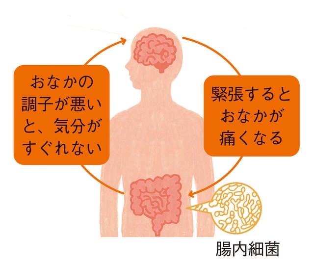 「あれ、なんだっけ？」記憶力の低下に「世界初の記憶対策」。気軽に摂れるヨーグルトやサプリで！＜PR＞（4）
