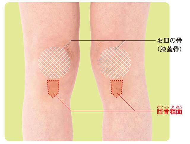 ひざ痛に悩む方は必見！ 「ひざのねじれ」についてセルフチェック／ひざ痛ほぐし1分ストレッチ（2）