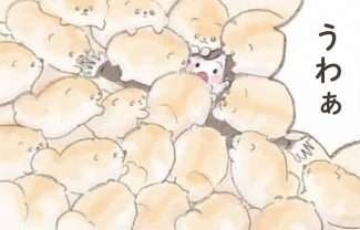 ふわふわポメラニアンに埋もれたい!? 可愛い妄想が止まらない...／ふわふわポメのぽぽち（1）