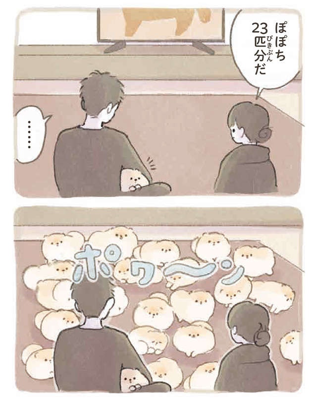 ふわふわポメラニアンに埋もれたい!? 可愛い妄想が止まらない...／ふわふわポメのぽぽち（4）