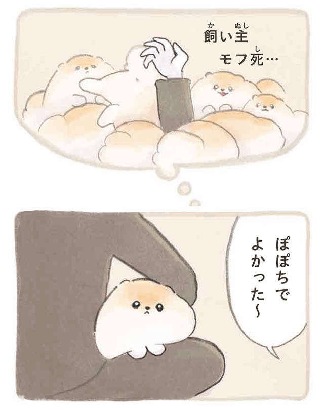 ふわふわポメラニアンに埋もれたい!? 可愛い妄想が止まらない...／ふわふわポメのぽぽち（8）