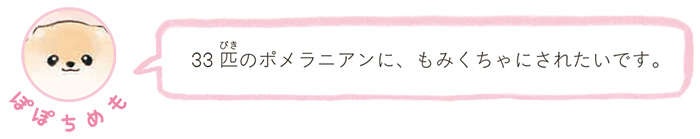 ふわふわポメラニアンに埋もれたい!? 可愛い妄想が止まらない...／ふわふわポメのぽぽち（9）