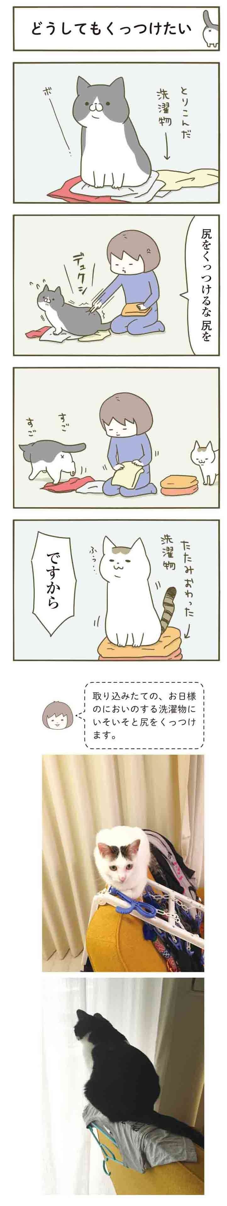 やめてー！ 取り込みたての洗濯物に猫がくっつけたがる「体の部位」／うちの猫がまた変なことしてる。（2）